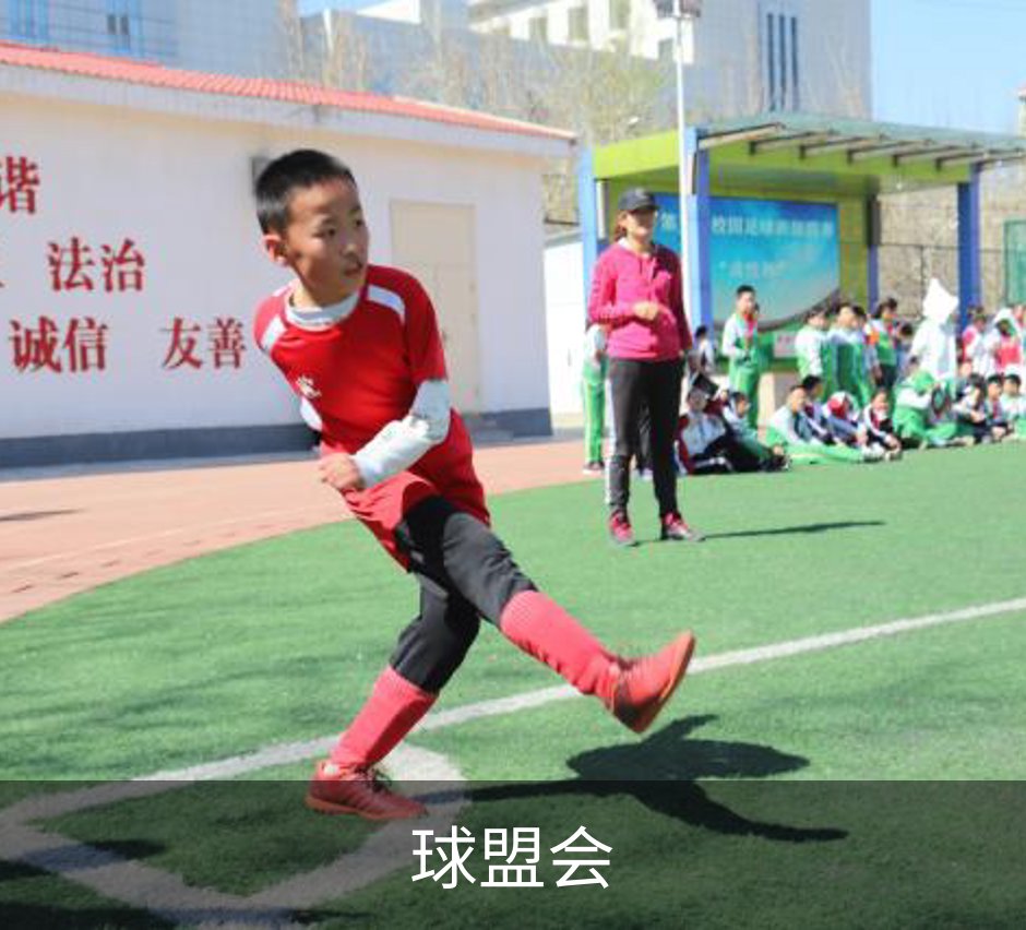 关于球盟会